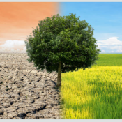 🌱 Appeal for Climate Action & Plantation Drive 🌱