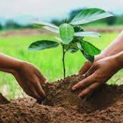 🌱 Appeal for Climate Action & Plantation Drive 🌱