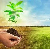 🌱 Appeal for Climate Action & Plantation Drive 🌱