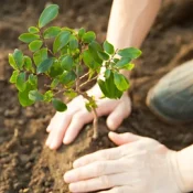 🌱 Appeal for Climate Action & Plantation Drive 🌱